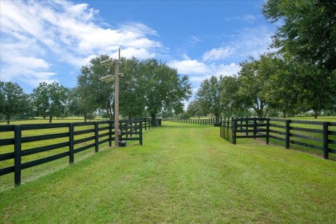 Land in Ocala, Florida № 2384041 - photo 28