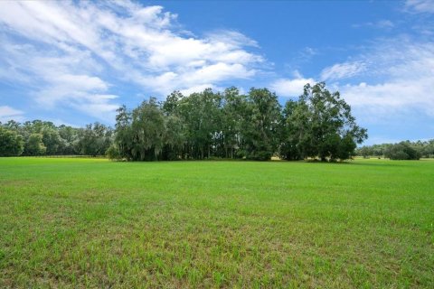 Land in Ocala, Florida № 2384041 - photo 22