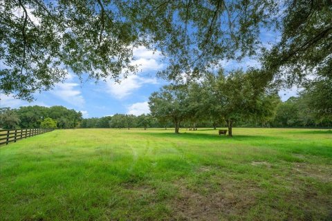 Land in Ocala, Florida № 2384041 - photo 29