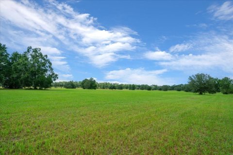 Land in Ocala, Florida № 2384041 - photo 20