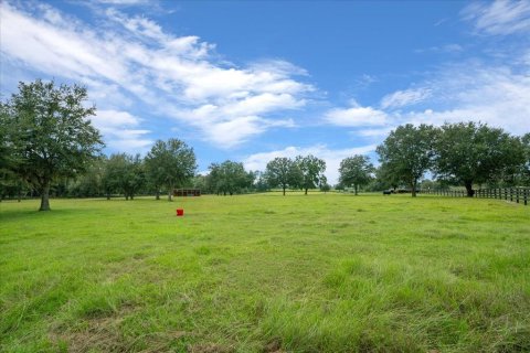 Land in Ocala, Florida № 2384041 - photo 27