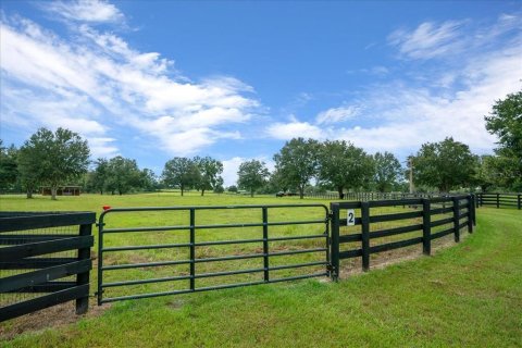 Land in Ocala, Florida № 2384041 - photo 26