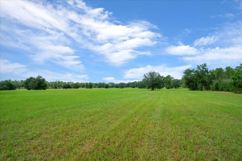 Land in Ocala, Florida № 2384041 - photo 21