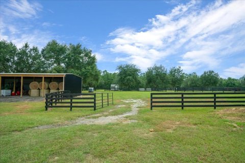 Land in Ocala, Florida № 2384041 - photo 25