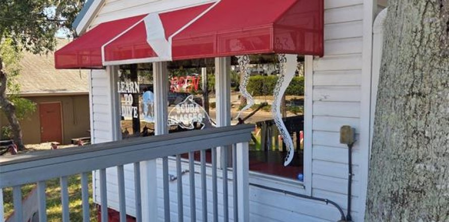 Immobilier commercial à Tarpon Springs, Floride 108.6 m2 № 2231211