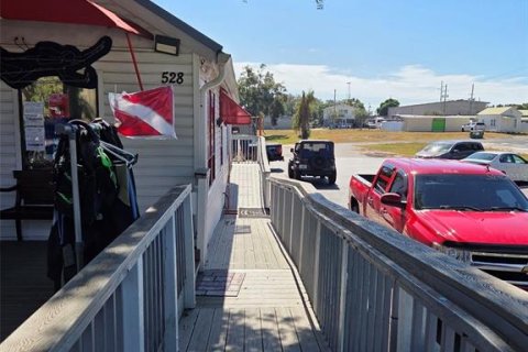 Immobilier commercial à vendre à Tarpon Springs, Floride: 108.6 m2 № 2231211 - photo 3