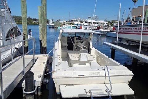 Immobilier commercial à vendre à Tarpon Springs, Floride: 108.6 m2 № 2231211 - photo 20