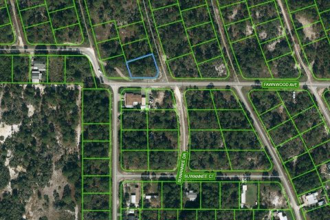 Land in Lake Placid, Florida № 2164188