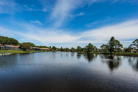 Condo in Saint Petersburg, Florida, 3 bedrooms № 1909091 - photo 8