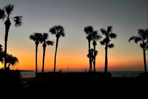 Copropriété à vendre à Saint Petersburg, Floride: 2 chambres, 117.52 m2 № 2093877 - photo 5