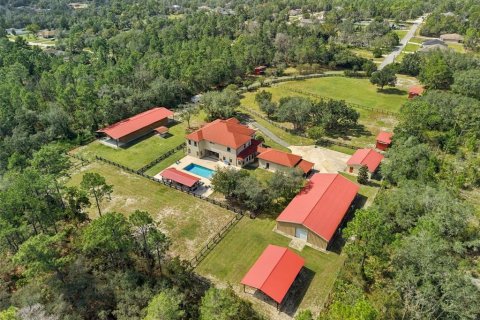 House in Weeki Wachee, Florida 8 bedrooms, 584.82 sq.m. № 2430395 - photo 3