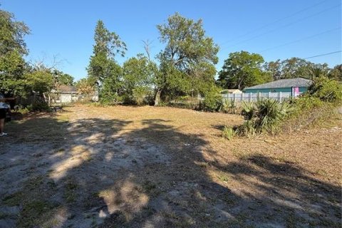 Terrain à Tampa, Floride № 2102271