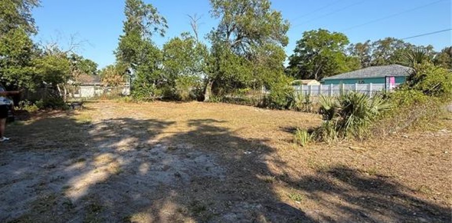 Terrain à Tampa, Floride № 2102271