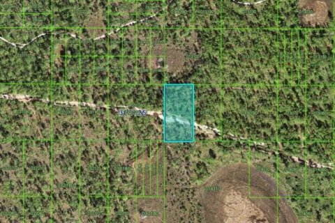 Terreno en Frostproof, Florida № 2160707