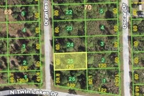Land in Punta Gorda, Florida № 2160030