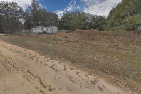 Terrain à vendre à Interlachen, Floride № 2223894 - photo 4