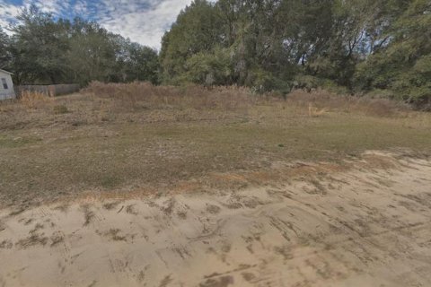 Terrain à vendre à Interlachen, Floride № 2223894 - photo 3