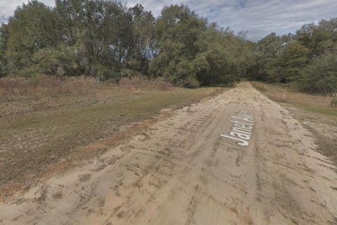 Terrain à vendre à Interlachen, Floride № 2223894 - photo 5