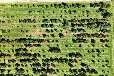 Immobilier commercial à vendre à Homestead, Floride № 2057564 - photo 5