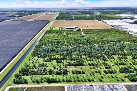 Immobilier commercial à vendre à Homestead, Floride № 2057564 - photo 4