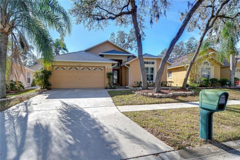 Casa en venta en Valrico, Florida, 4 dormitorios, 164.34 m2 № 2377549 - foto 29