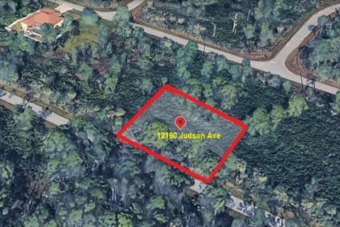 Land in Port Charlotte, Florida № 2163399