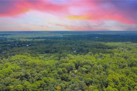 Land in Homosassa, Florida № 2163583 - photo 11