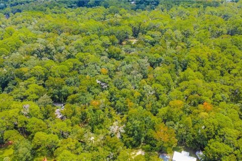 Land in Homosassa, Florida № 2163583 - photo 2