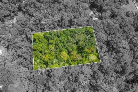 Land in Homosassa, Florida № 2163583 - photo 10