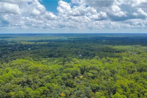 Land in Homosassa, Florida № 2163583 - photo 4