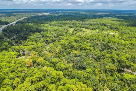 Land in Homosassa, Florida № 2163583 - photo 7