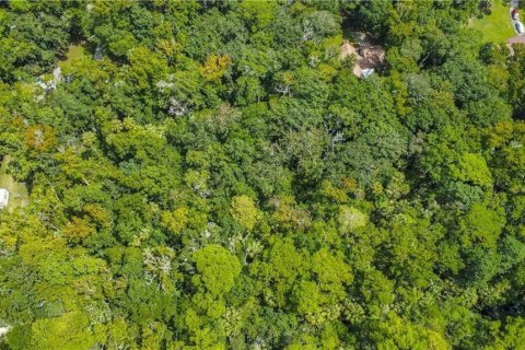 Land in Homosassa, Florida № 2163583 - photo 5