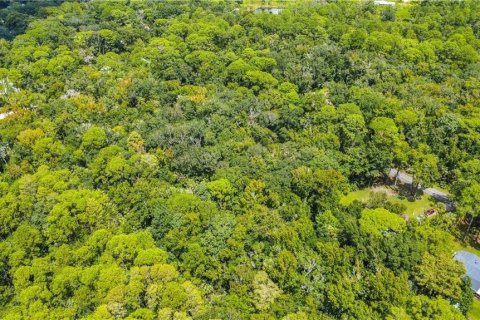 Land in Homosassa, Florida № 2163583 - photo 6
