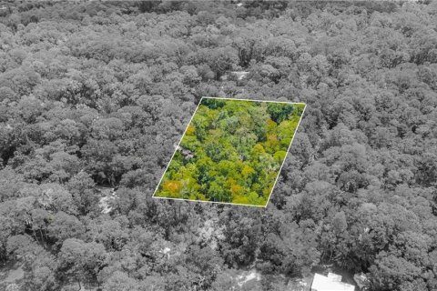 Land in Homosassa, Florida № 2163583 - photo 9