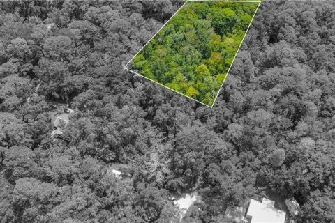 Land in Homosassa, Florida № 2163583 - photo 8