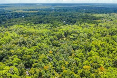 Land in Homosassa, Florida № 2163583 - photo 3
