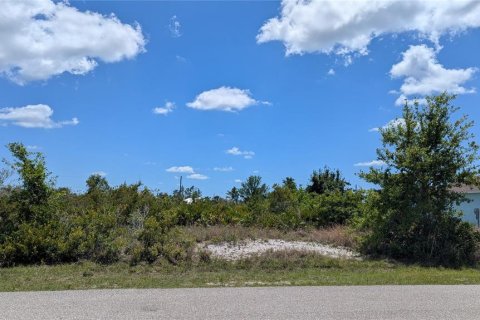 Land in Port Charlotte, Florida № 2166664