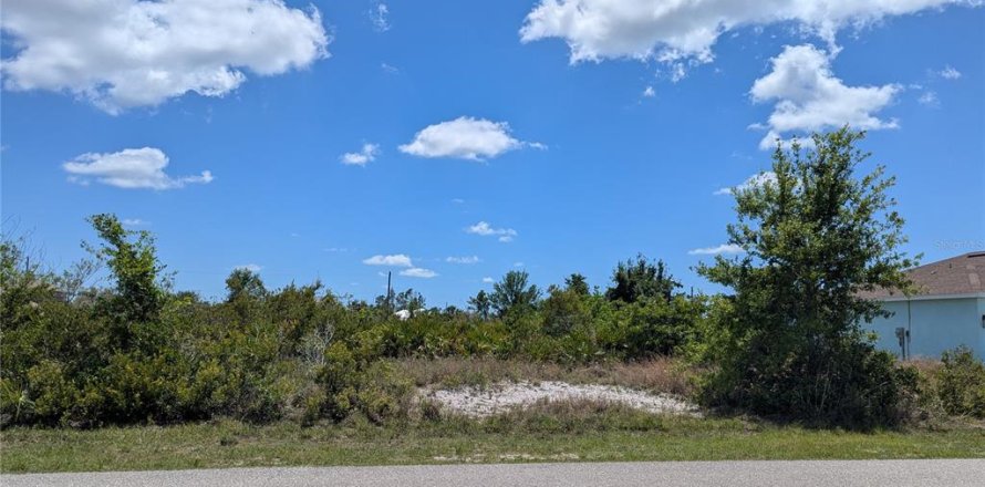 Land in Port Charlotte, Florida № 2166664