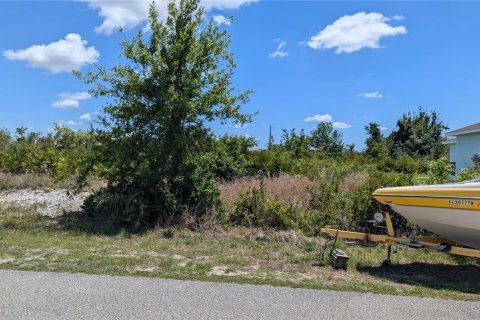 Land in Port Charlotte, Florida № 2166664 - photo 2