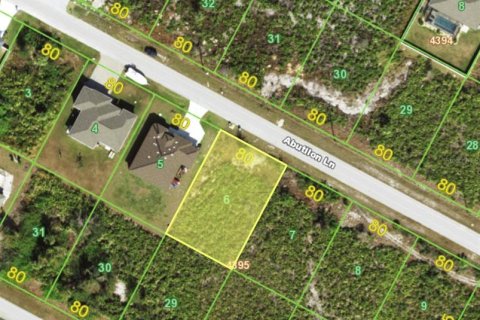Land in Port Charlotte, Florida № 2166664 - photo 4
