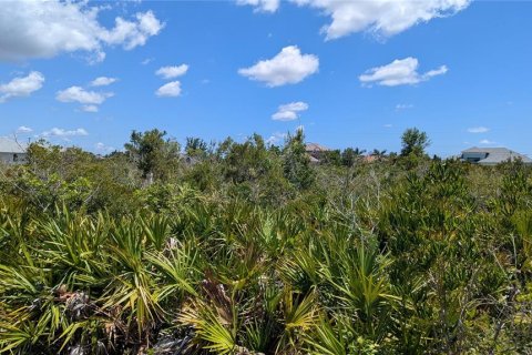 Land in Port Charlotte, Florida № 2166664 - photo 3