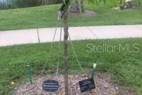 Land in Port Charlotte, Florida № 2166664 - photo 7
