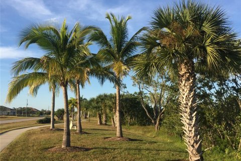 Land in Port Charlotte, Florida № 2166664 - photo 6