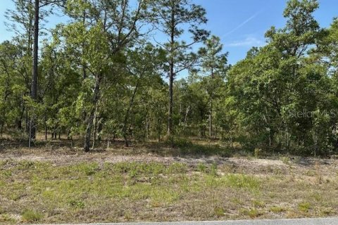 Land in Dunnellon, Florida № 2165808