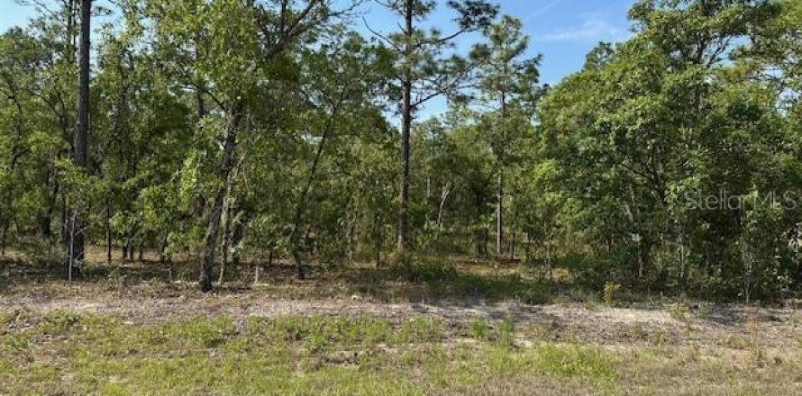 Land in Dunnellon, Florida № 2165808