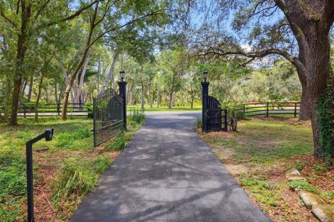Casa en venta en Spring Hill, Florida, 6 dormitorios, 374.02 m2 № 2157756 - foto 10