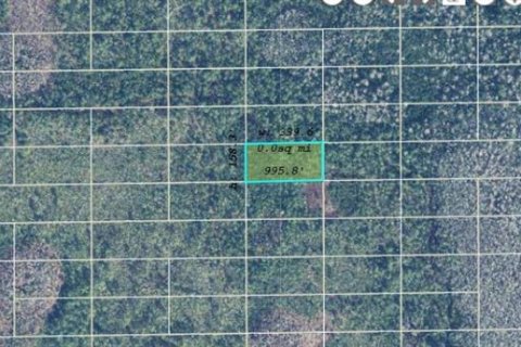 Land in Orlando, Florida № 2218795 - photo 2
