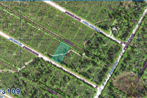 Land in Lake Wales, Florida № 2224266