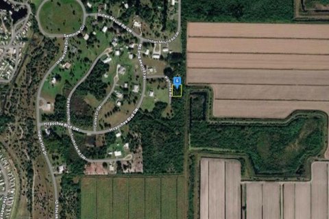 Land in Moore Haven, Florida № 2158699 - photo 3