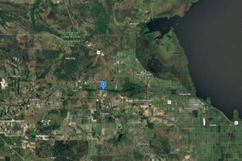 Land in Moore Haven, Florida № 2158699 - photo 5